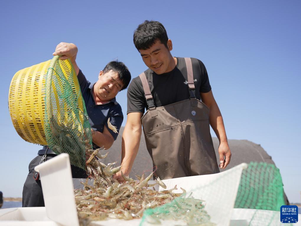 菠菜游戏单机